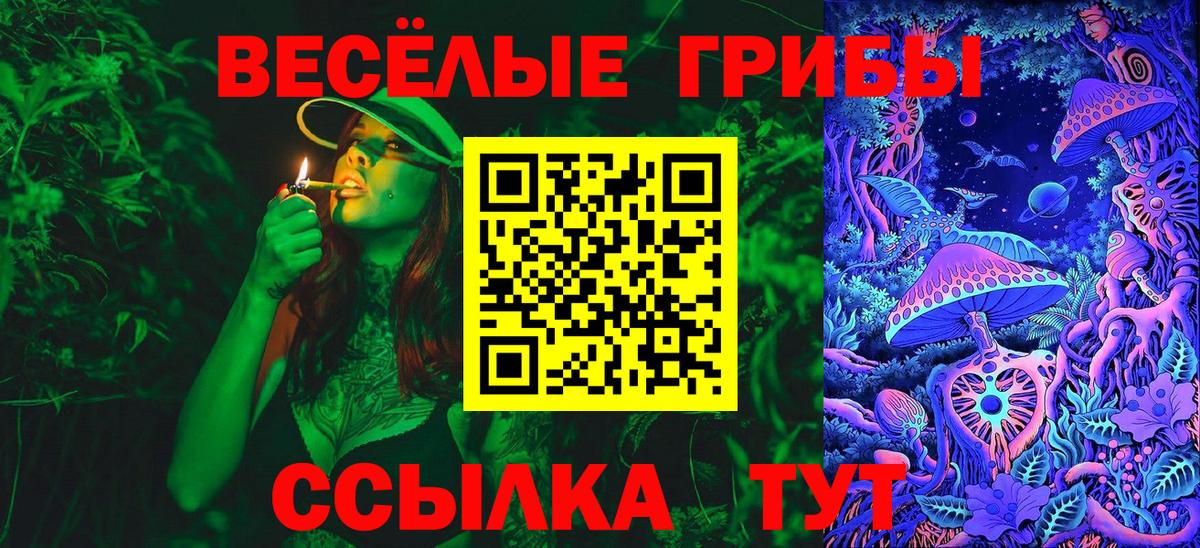 Сорочинск  Галлюциногенные грибы ЛСД  Вход с VPN 